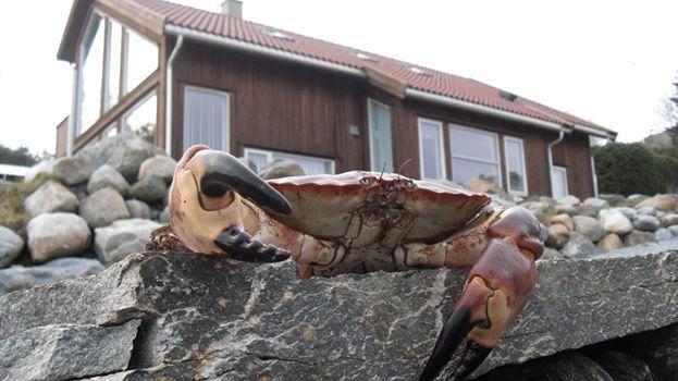 Ferienwohnung Amoy Fjordferie Vestre Amoy Exterior foto